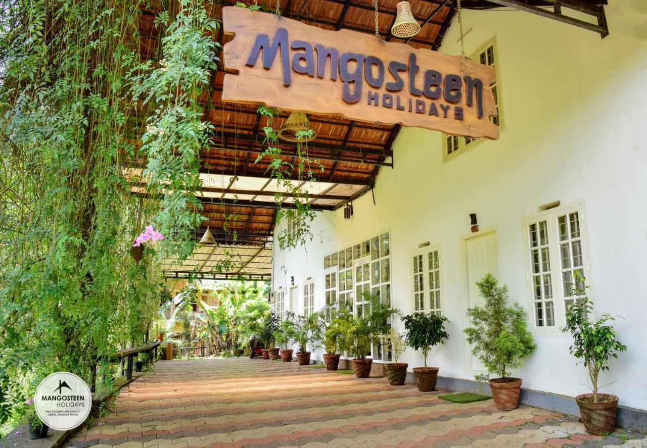 Hotel Mangosteen Holidays Vythiri Zewnętrze zdjęcie